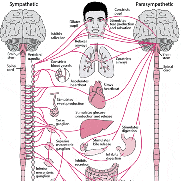 Pelvic imbalance — problem